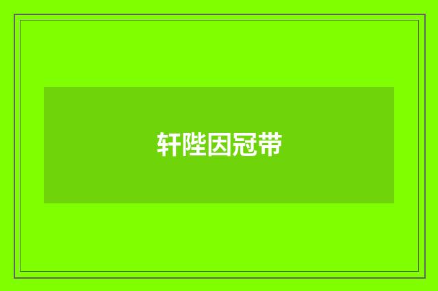 轩陛因冠带