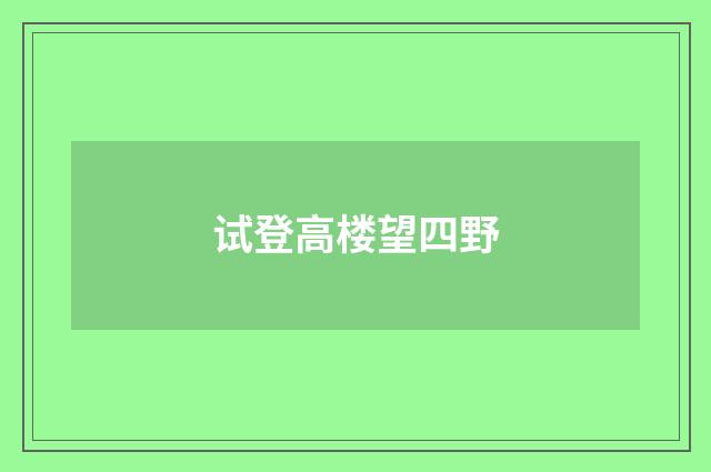 试登高楼望四野
