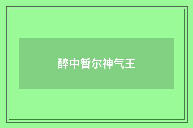 醉中暂尔神气王