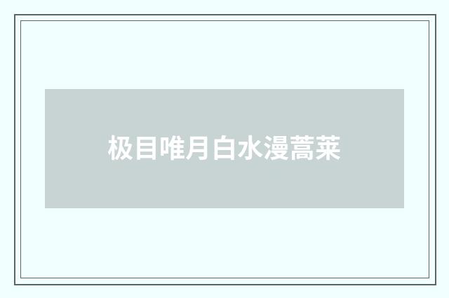 极目唯月白水漫蒿莱