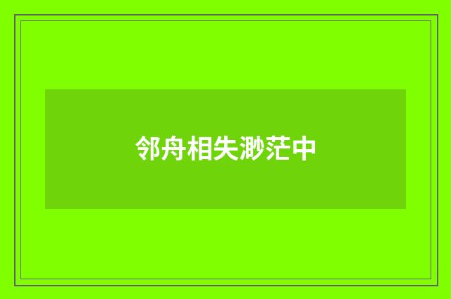 邻舟相失渺茫中