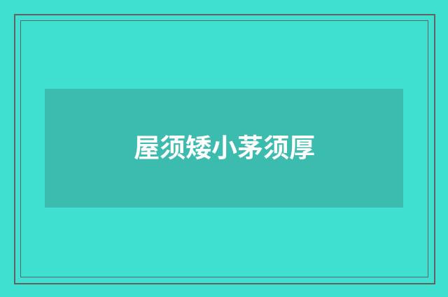 屋须矮小茅须厚