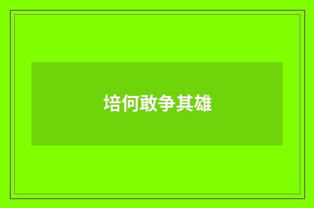 培何敢争其雄