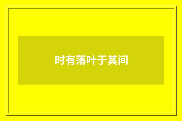 时有落叶于其间