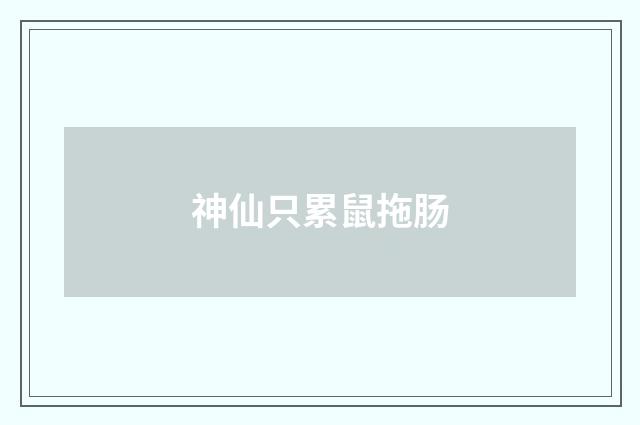 神仙只累鼠拖肠