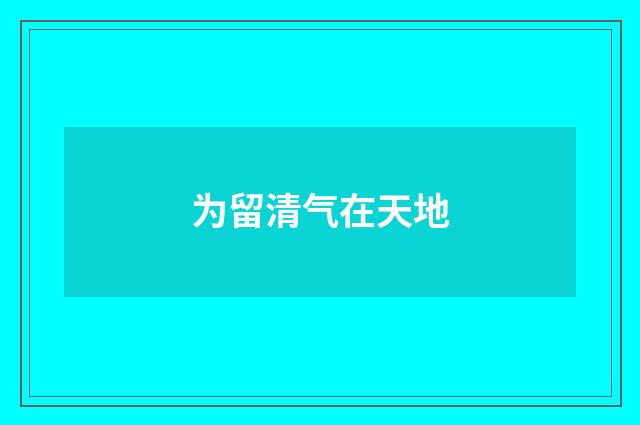 为留清气在天地