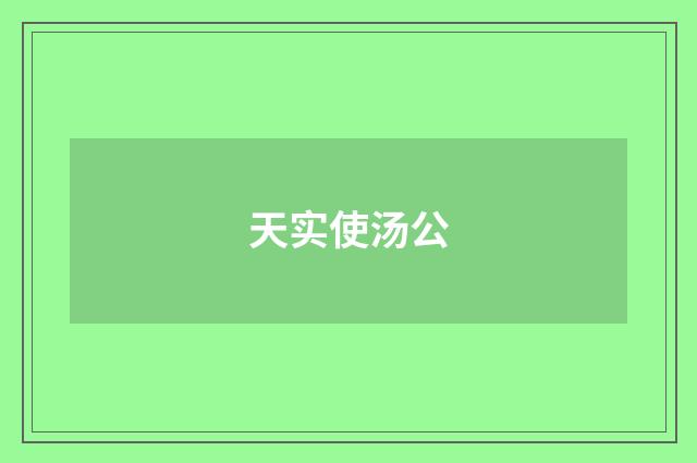 天实使汤公