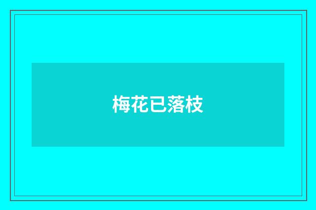梅花已落枝
