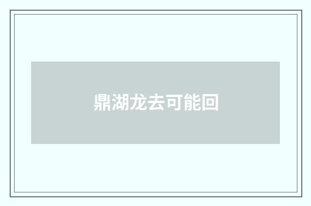 鼎湖龙去可能回