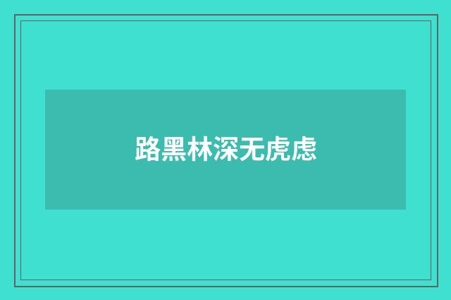 路黑林深无虎虑