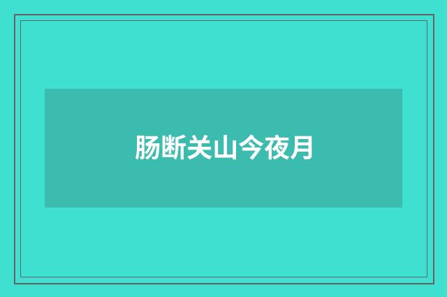 肠断关山今夜月