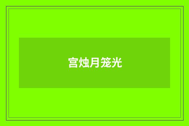 宫烛月笼光