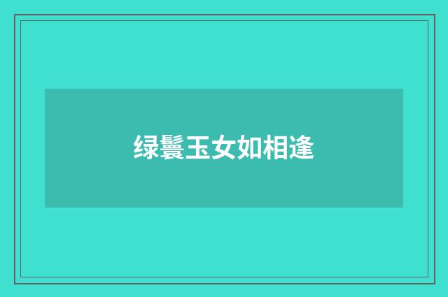绿鬟玉女如相逢