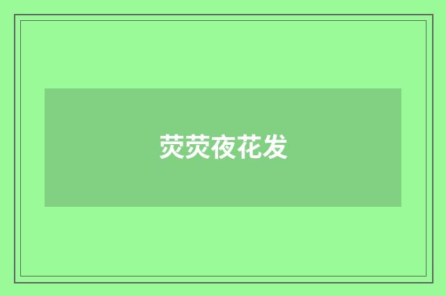 荧荧夜花发