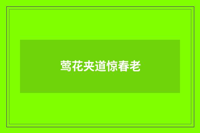 莺花夹道惊春老
