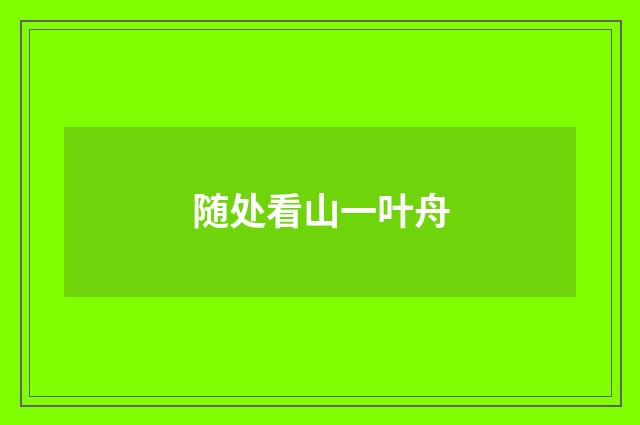 随处看山一叶舟