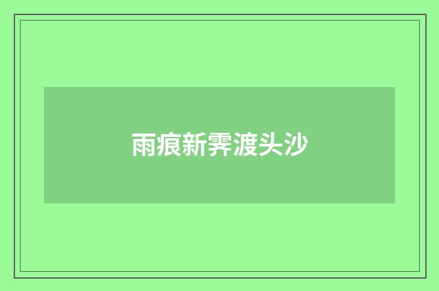 雨痕新霁渡头沙
