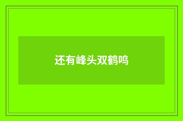 还有峰头双鹤鸣