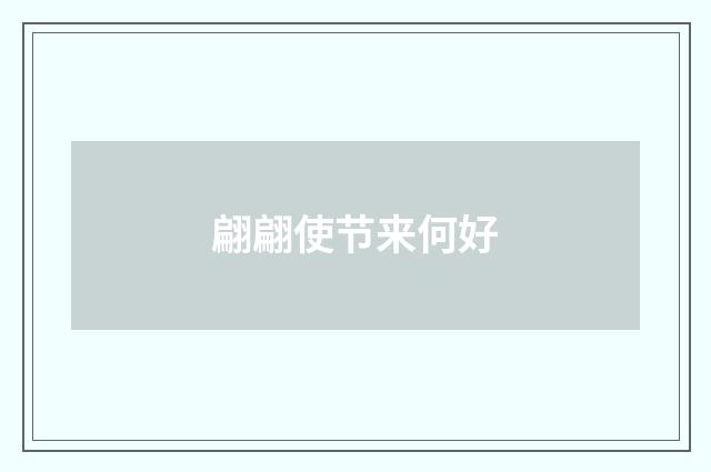 翩翩使节来何好