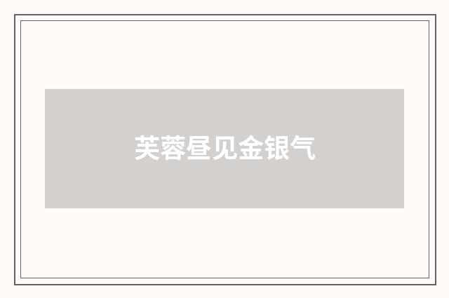 芙蓉昼见金银气