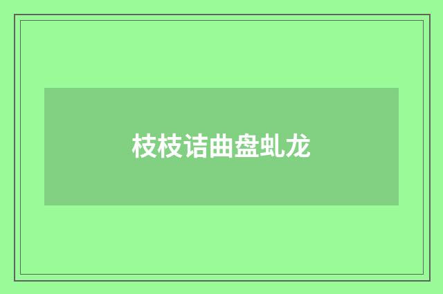 枝枝诘曲盘虬龙