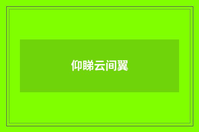 仰睇云间翼