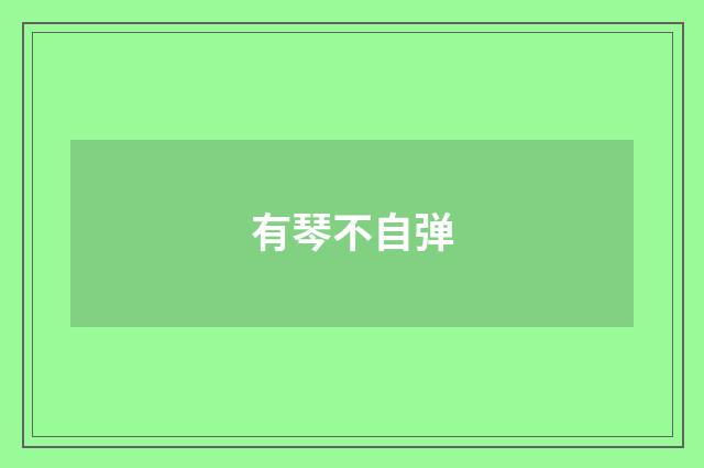 有琴不自弹