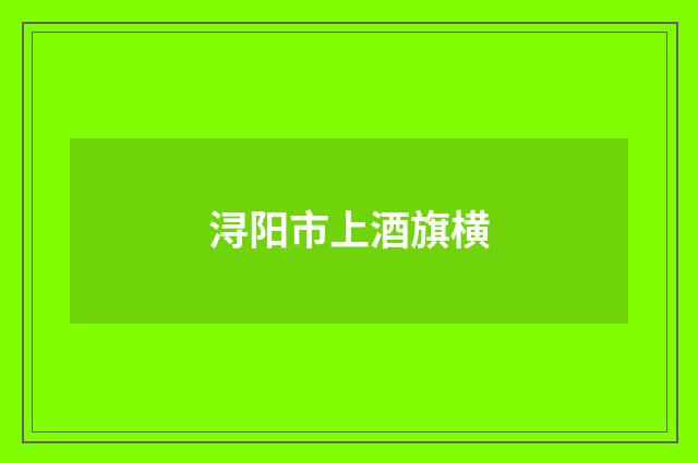 浔阳市上酒旗横