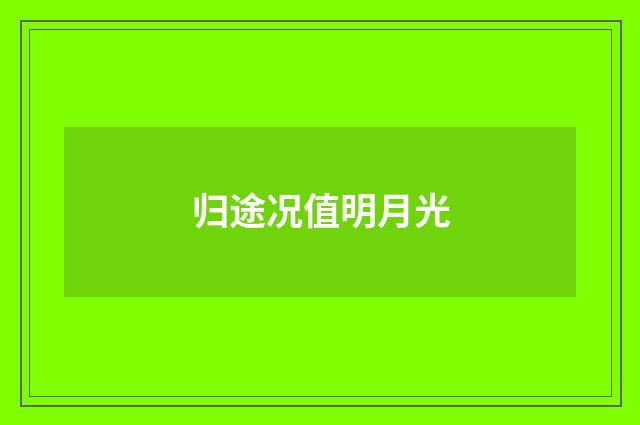 归途况值明月光