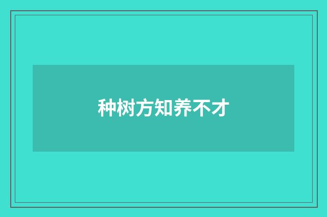 种树方知养不才