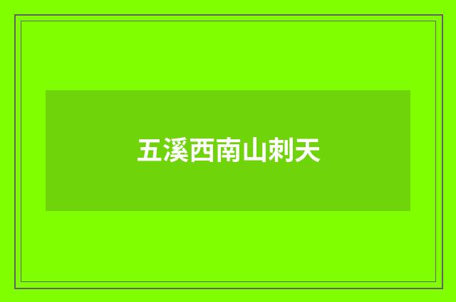 五溪西南山刺天