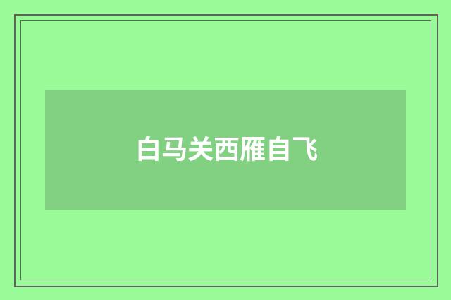 白马关西雁自飞