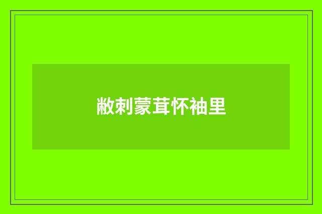 敝刺蒙茸怀袖里