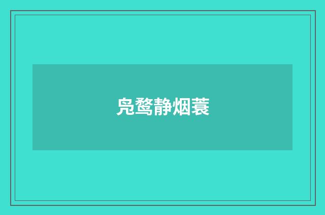 凫鹜静烟蓑
