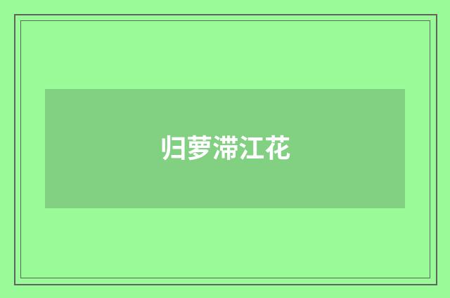 归萝滞江花