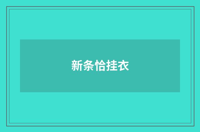 新条恰挂衣