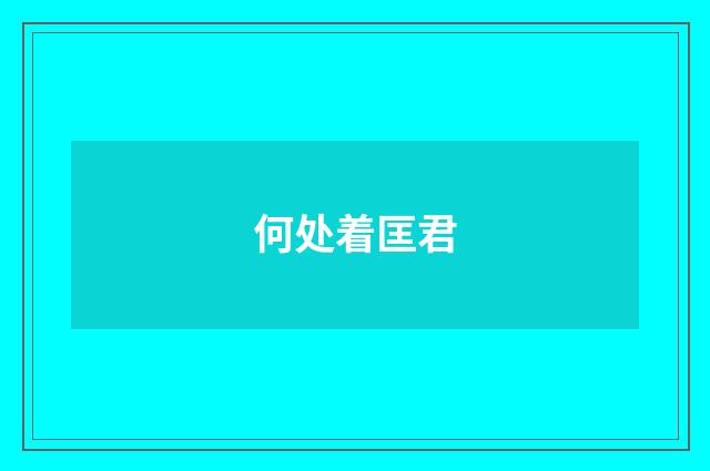 何处着匡君