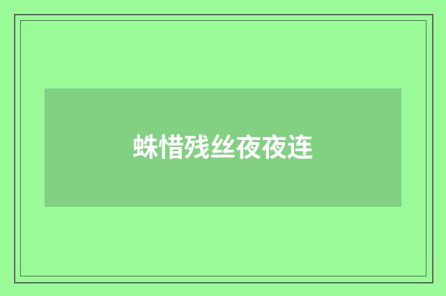 蛛惜残丝夜夜连