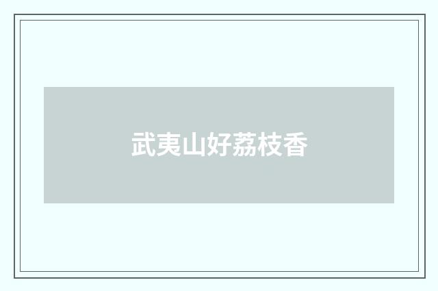 武夷山好荔枝香