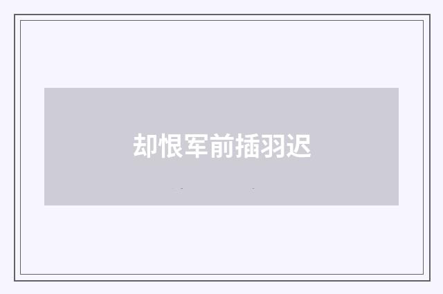 却恨军前插羽迟