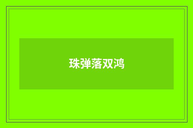 珠弹落双鸿