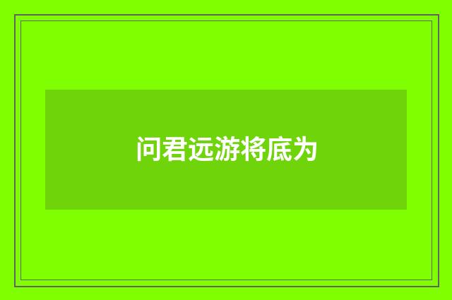 问君远游将底为