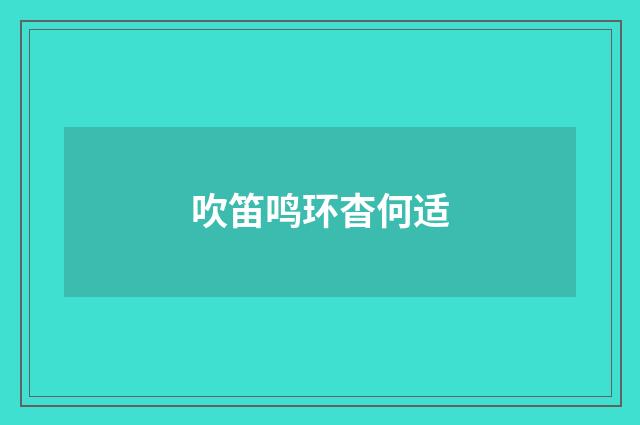 吹笛鸣环杳何适