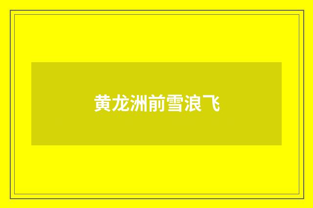 黄龙洲前雪浪飞