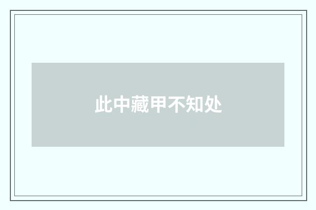 此中藏甲不知处