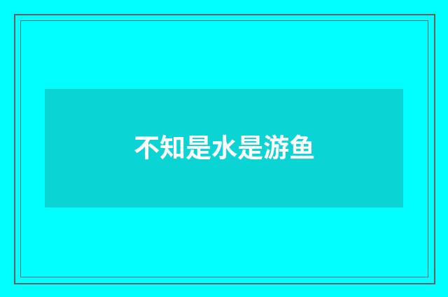 不知是水是游鱼