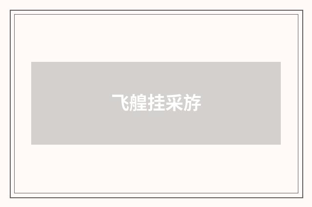 飞艎挂采斿