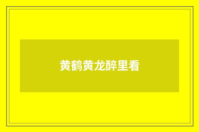 黄鹤黄龙醉里看