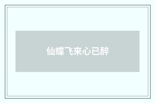 仙蝶飞来心已醉