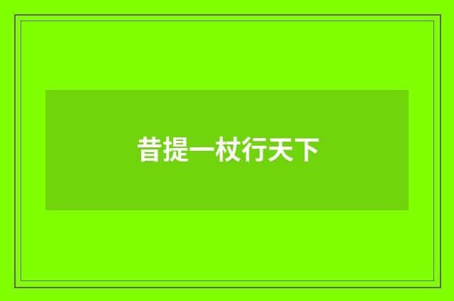 昔提一杖行天下